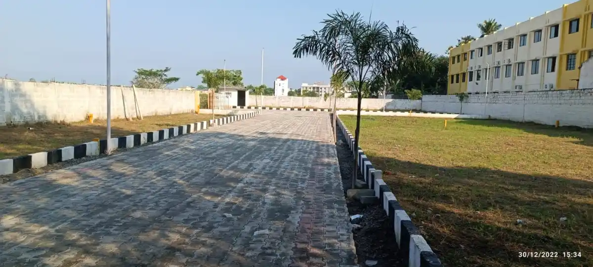 Daffodilpark Padur
