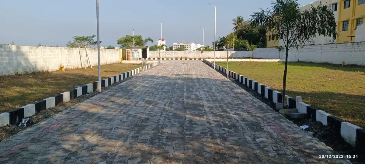 Daffodilpark Padur photo 3