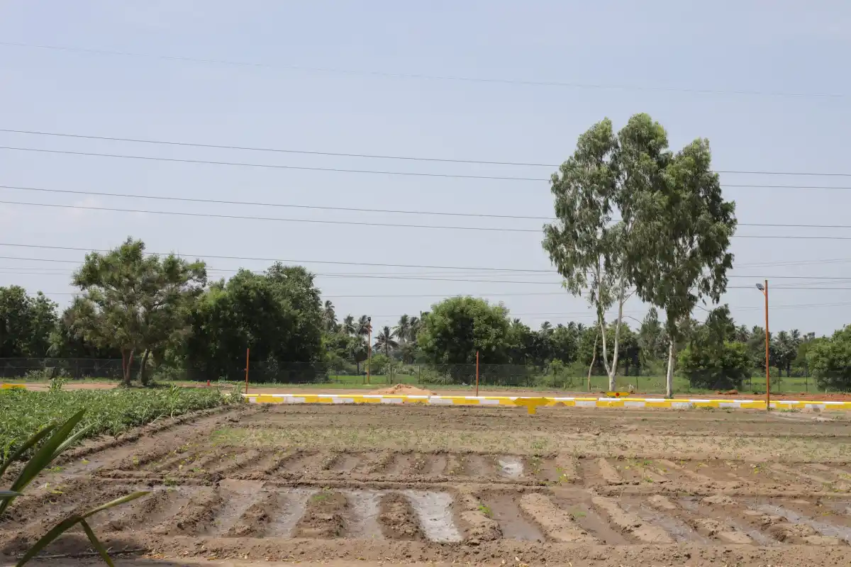 Agriyaa Garden Kanchipuram photo 2