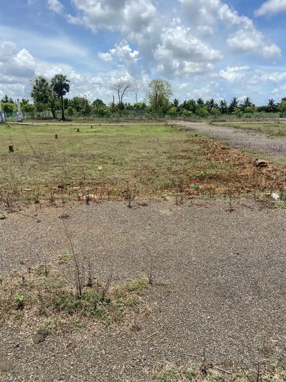 Plots in Thiruporur Thiruporur photo 3