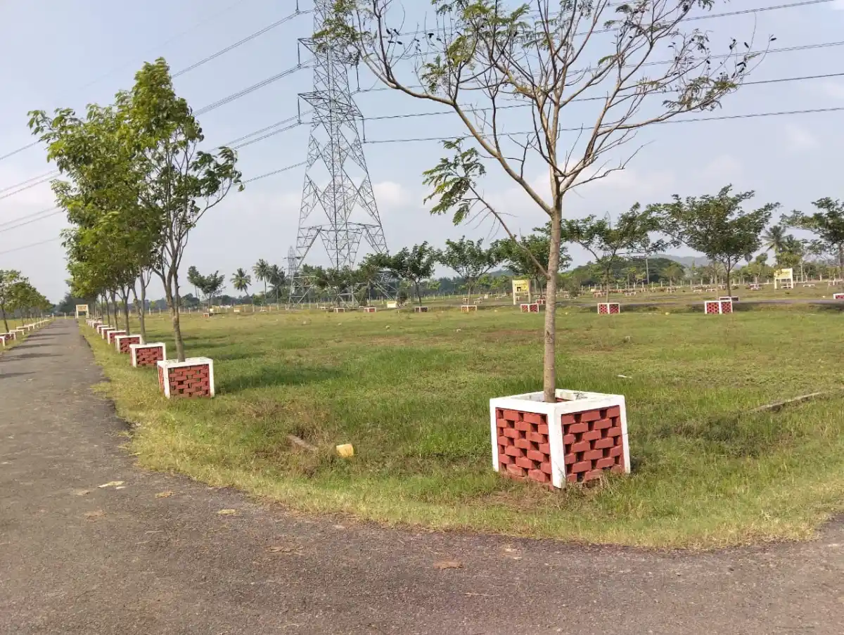 Celebrity Farm Chengalpattu