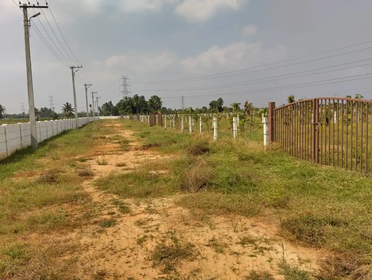 Celebrity Farm Chengalpattu