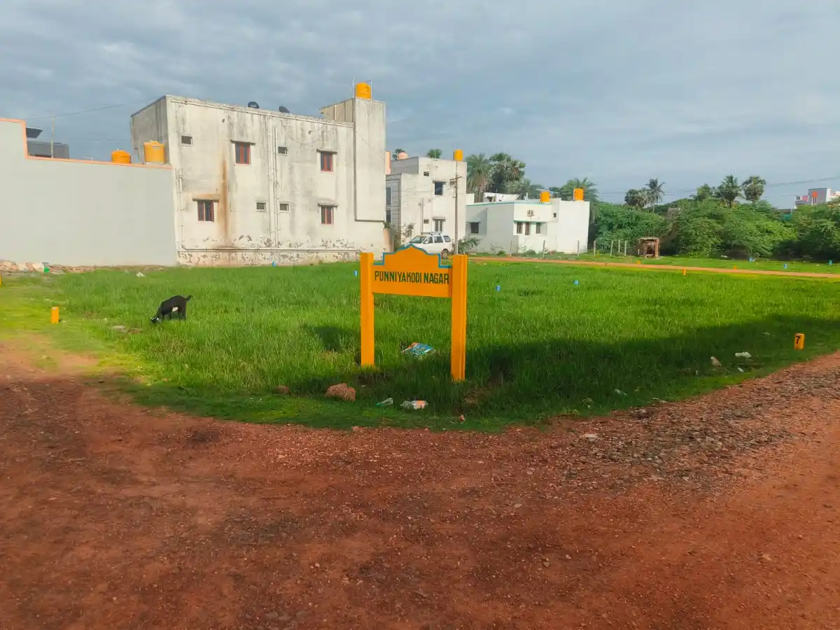 Punniyakottai Nagar Mangadu photo 4