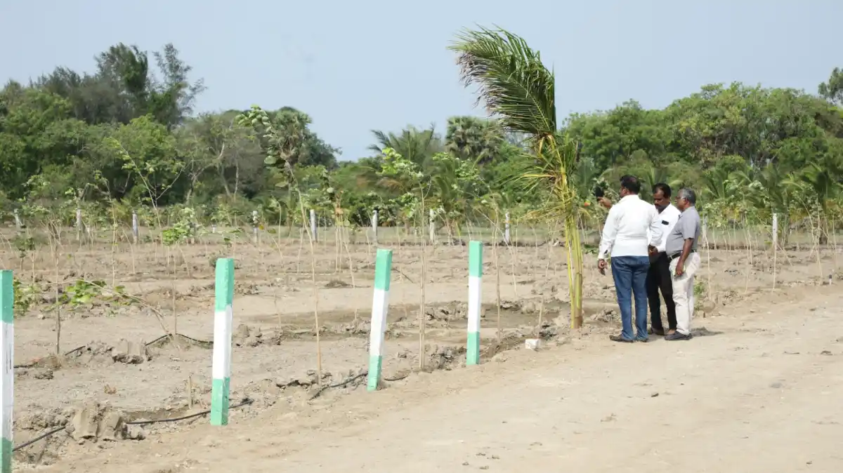 HRK Natural Farm Avanippur