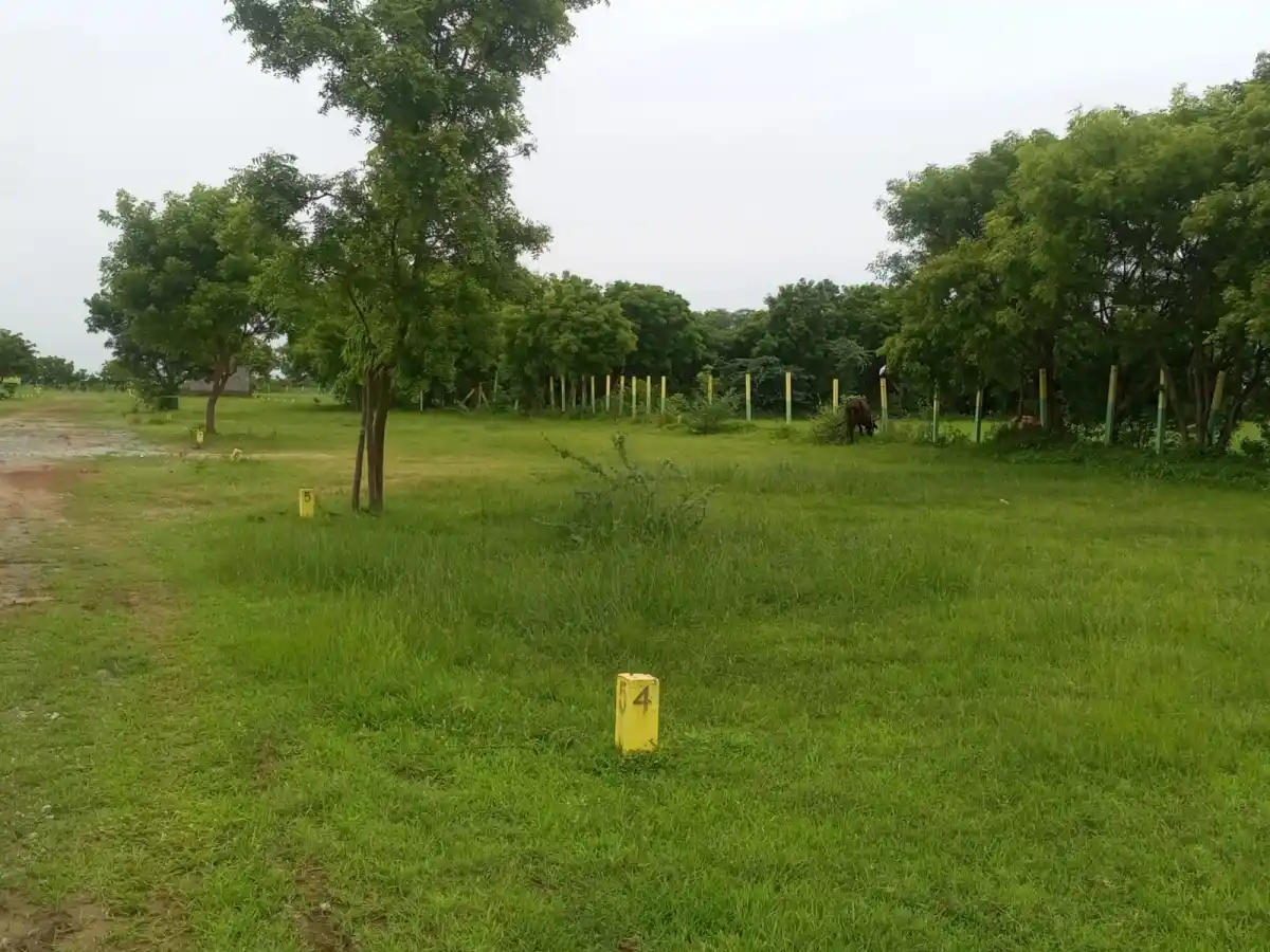 Sapthagri Nagar Thiruvallur photo 2