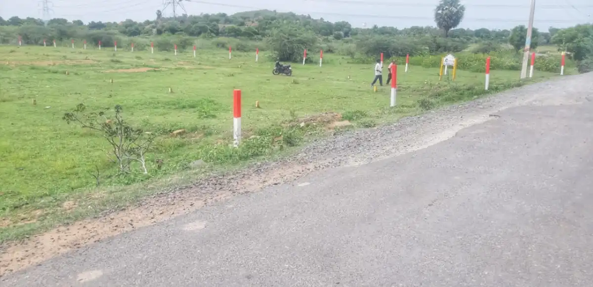 Plot for sale @ Nellikuppam Nellikuppam