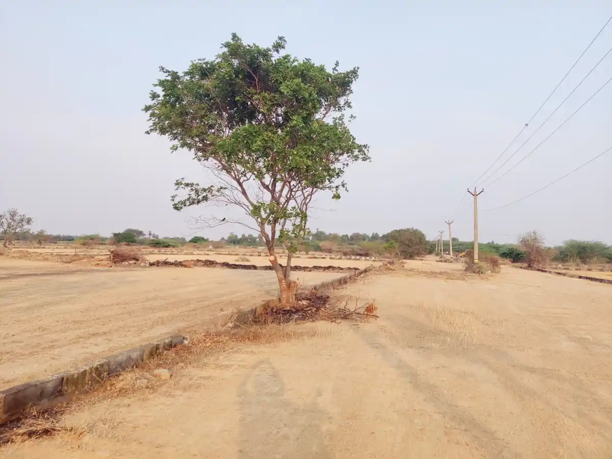 Pooja avenue annex Kanchipuram photo 2