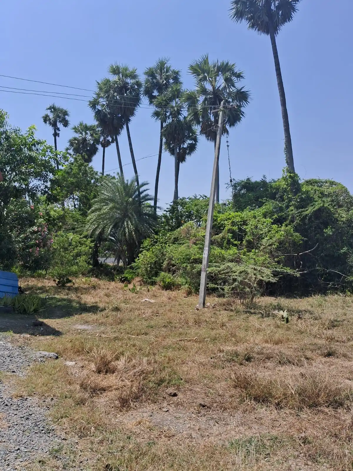 Thaiyur Plots Thaiyur photo 2