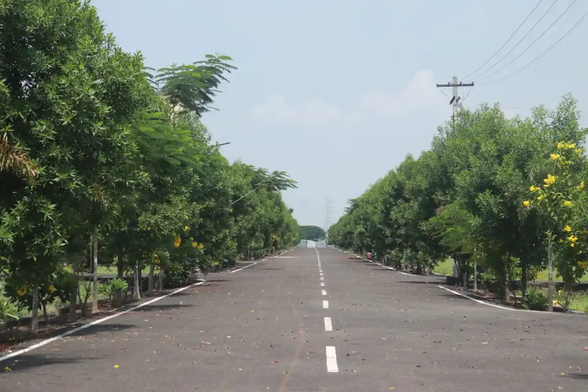 Anand Nagar Red Hills photo 2