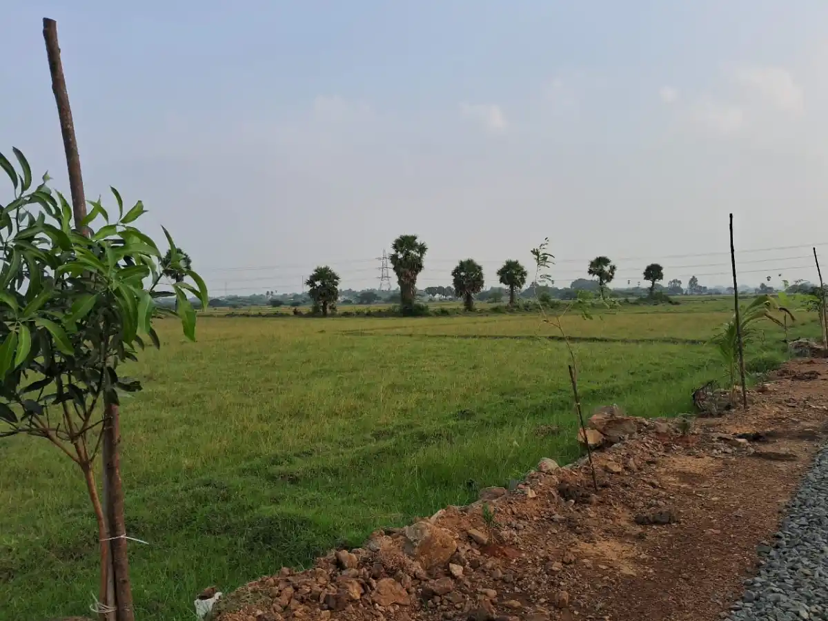 SAMEERA TERRAFARMS Mathuranthagam photo 3