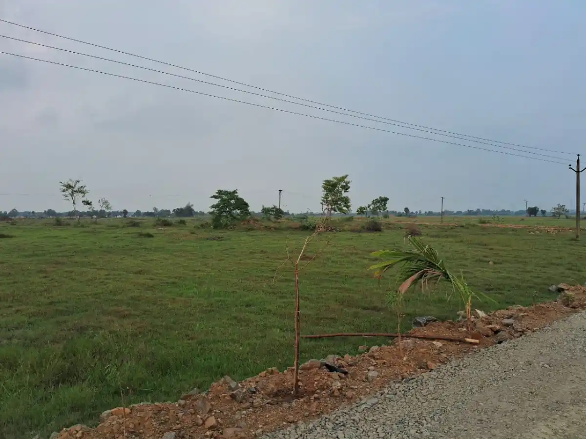 SAMEERA TERRAFARMS Mathuranthagam photo 2