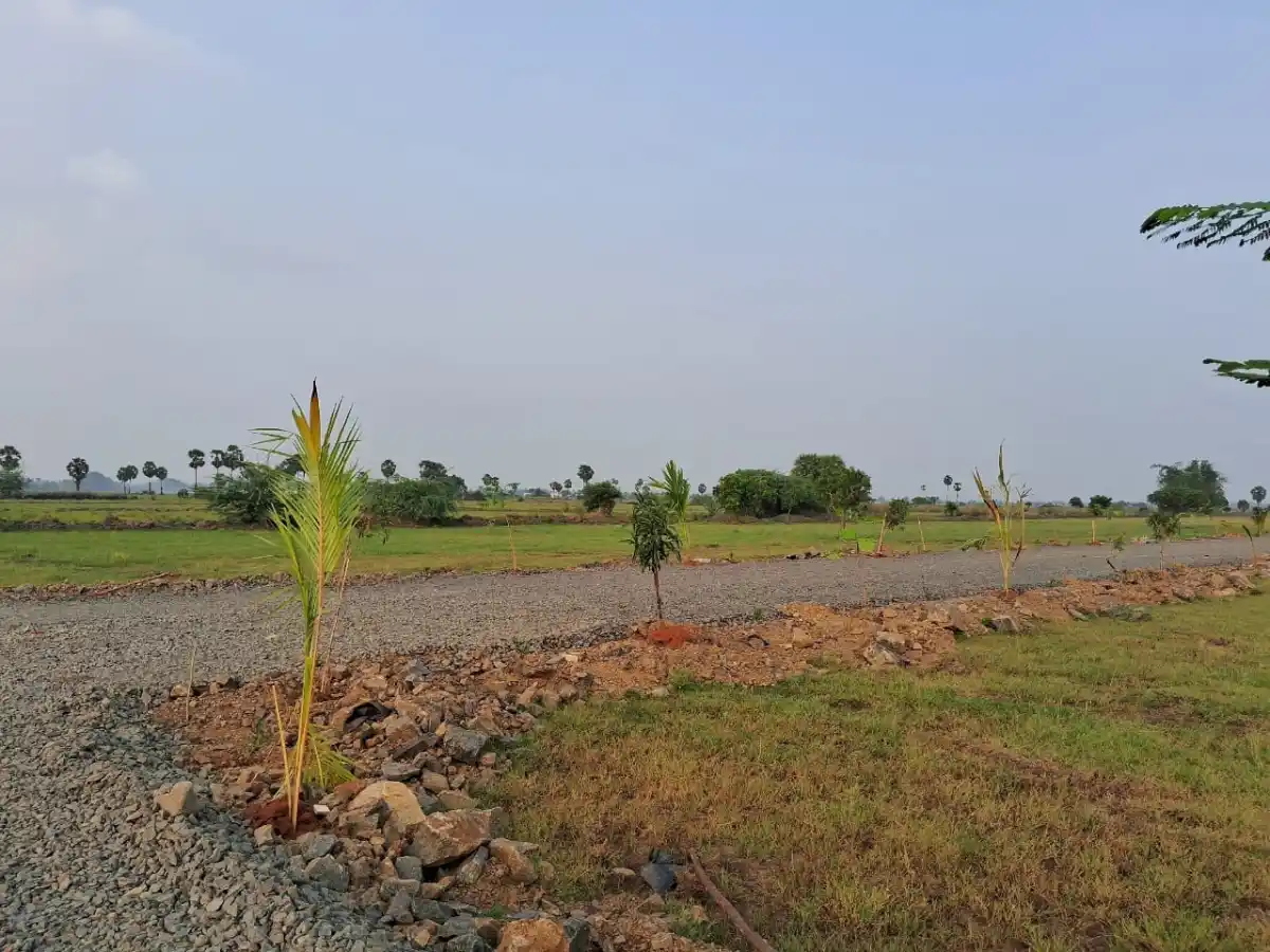 SAMEERA TERRAFARMS Maduranthagam