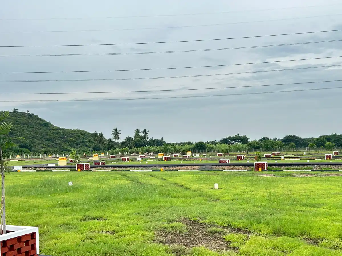 VIP Viruksham Mahindra World city photo 3