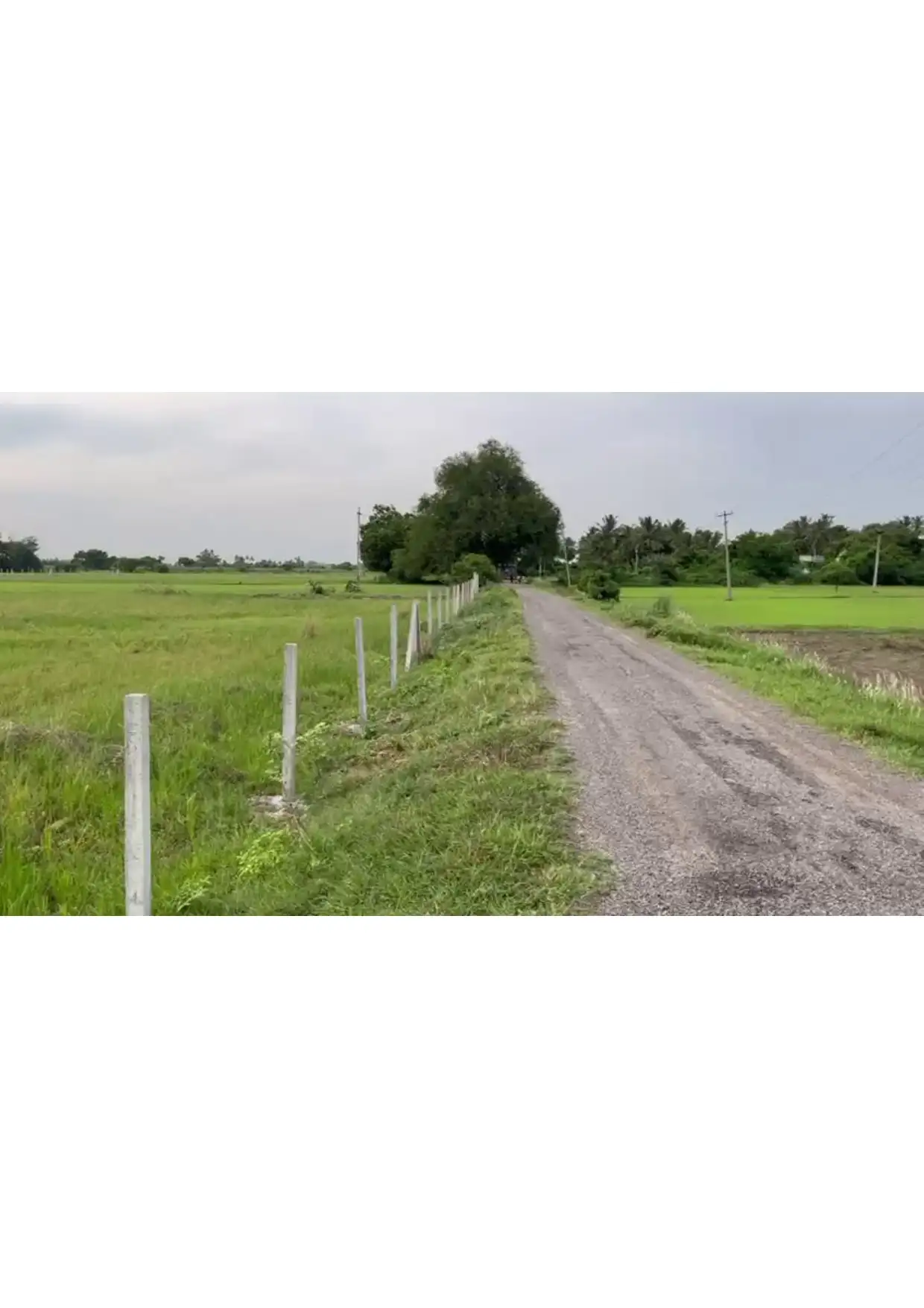 Pasumai Bhoomi Ponneri