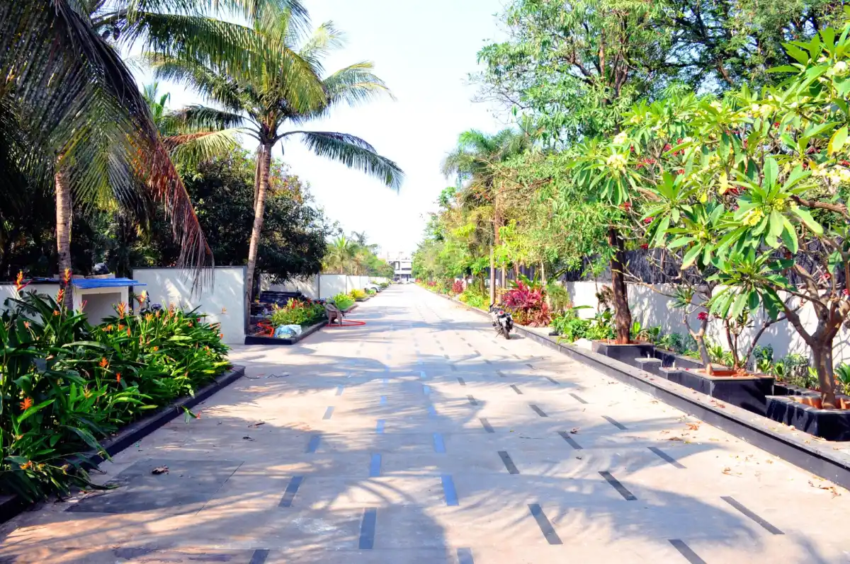 Cove Ecr