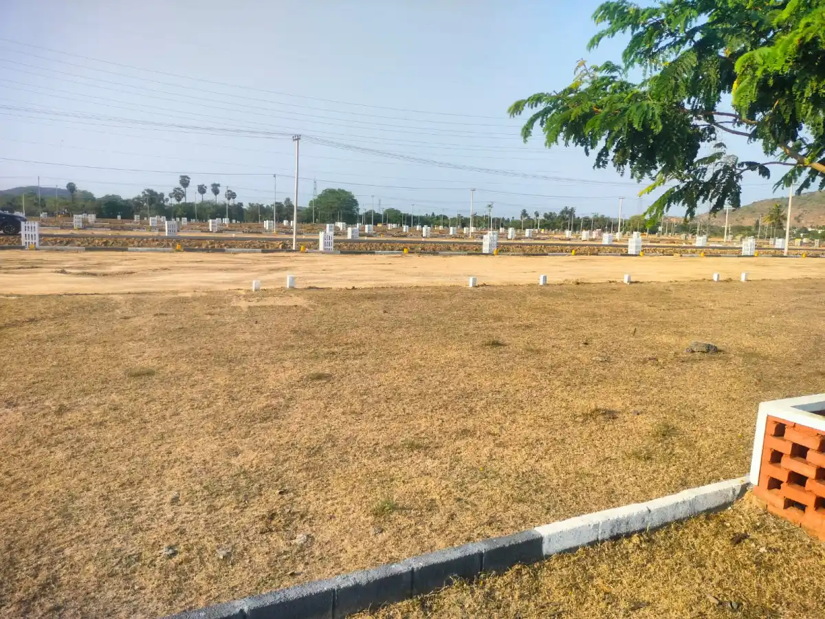 VIP Viruksham Mahindra World city photo 3