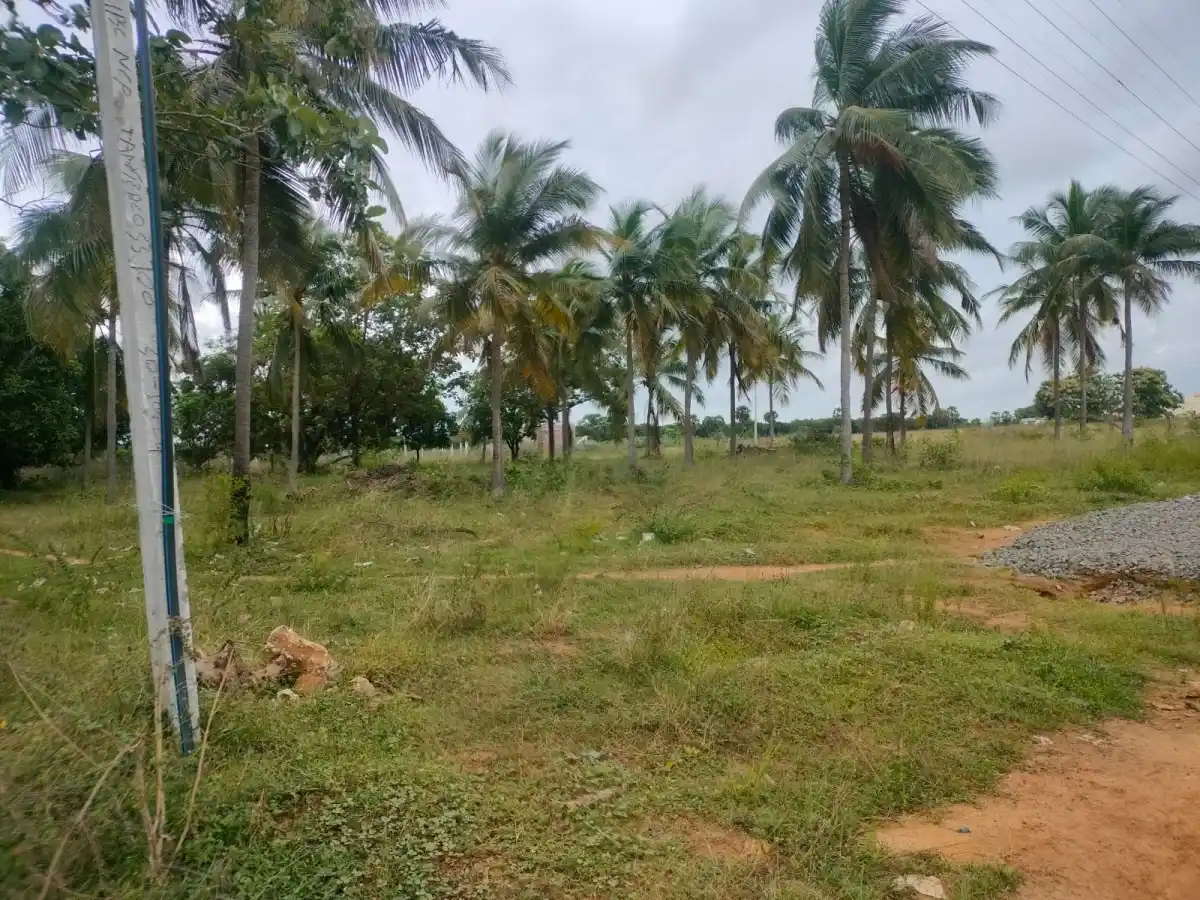 Sri parameshwara nagar Old Perungalathur