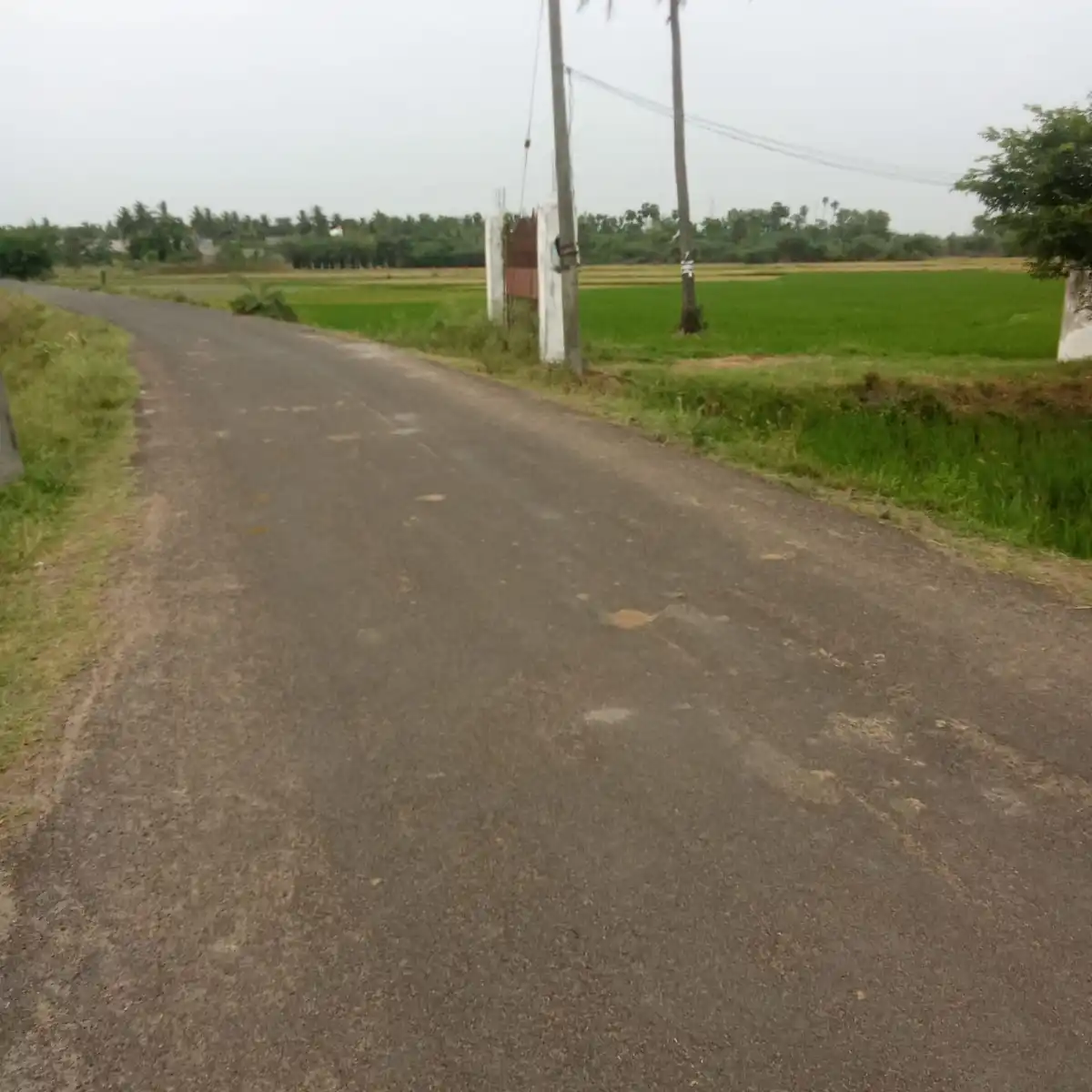 Kanchipuram land Kanchipuram photo 2