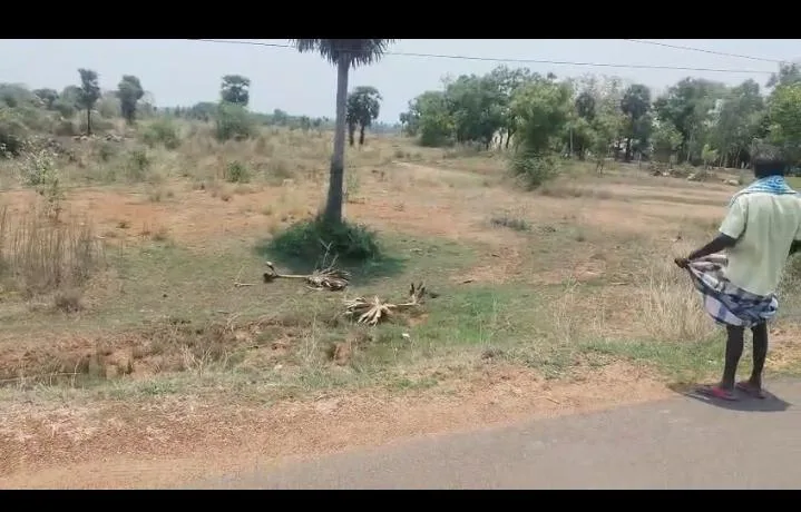 Kanchipuram vembakkam Land Kanchipuram photo 2