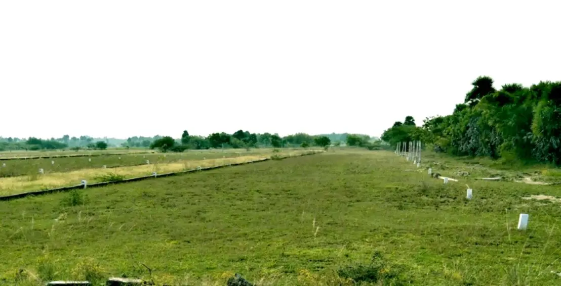 Mother Garden Ongur photo 2