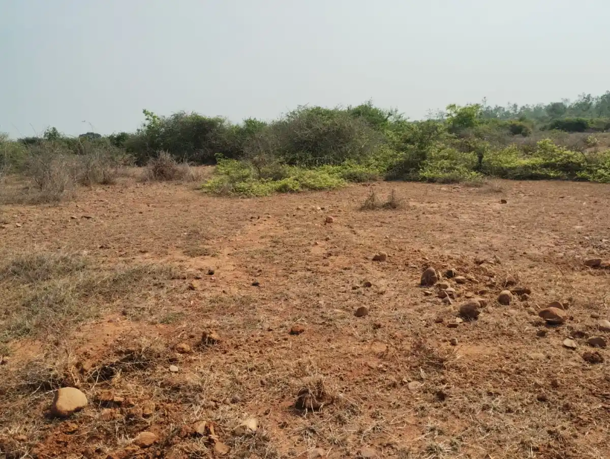 Park town-5 plots Vengal photo 2
