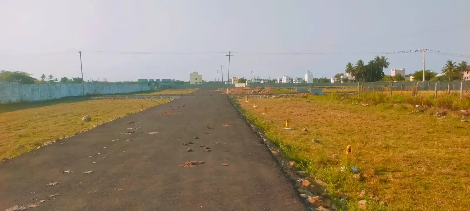 Greenwood Avenue Manimangalam