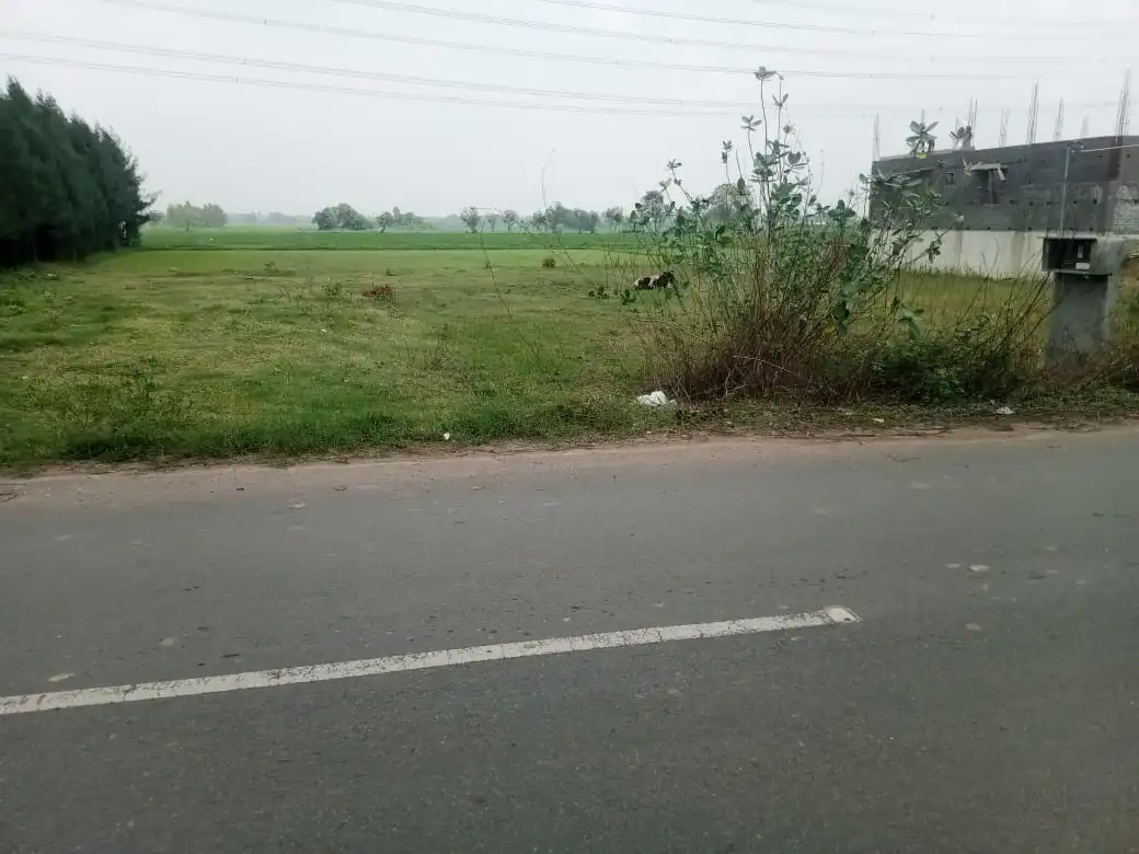 Mambakkam farmland Mambakkam