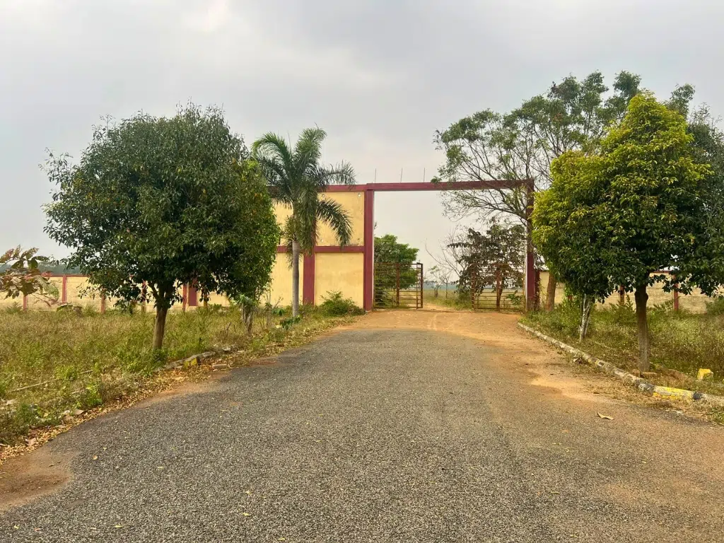 Mount Sinai Thiruvallur