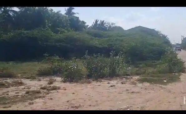 OMR plot omr photo 2