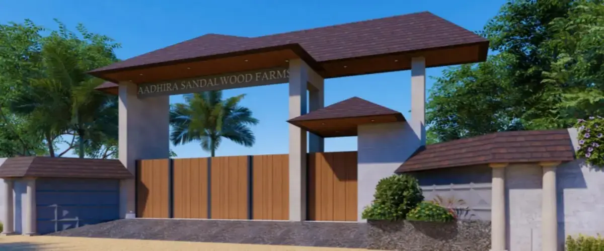 Aadhira sandalwood farm Thiruthani