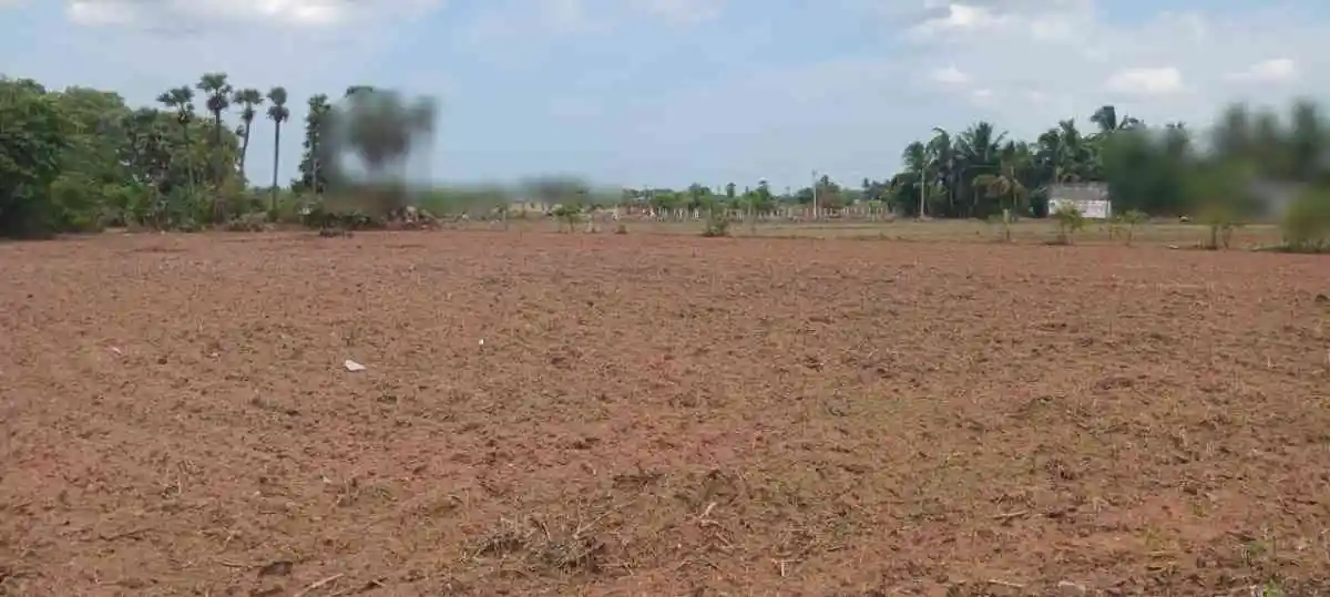 ZAN City Marakkanam photo 3