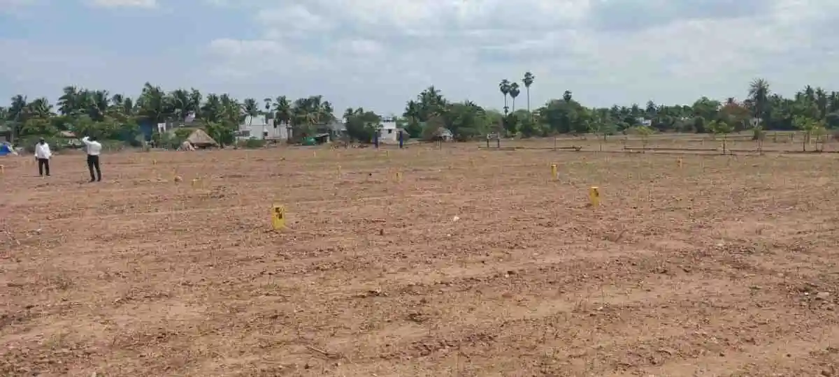 ZAN CITY Marakkanam photo 2