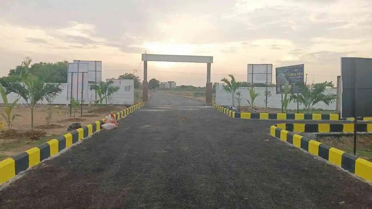 Spring Field2 Padappai