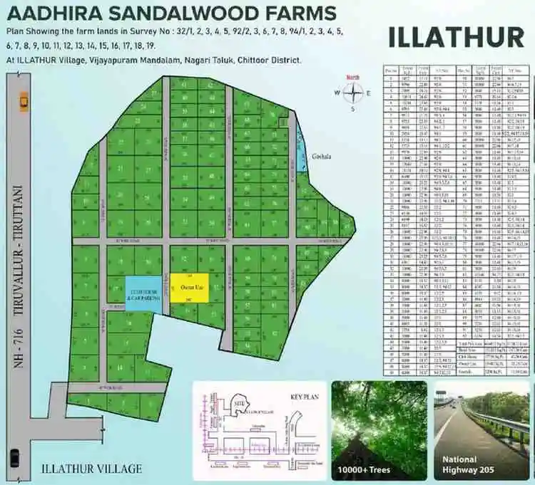 Aadhira sandalwood farm layout plan